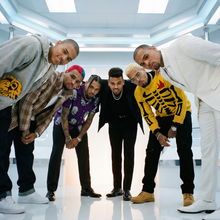 Load image into Gallery viewer, EVOLUTION - CHRIS BROWN
